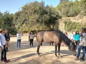 sesiones con caballos en Begoña&Montriana