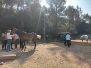 sesiones con caballos en Begoña&Montriana