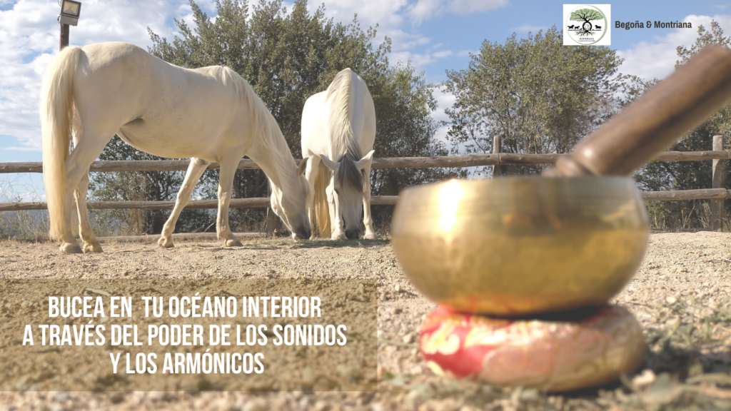Begoña & Montriana eliminar el estres laboral con sonoterapia con caballos