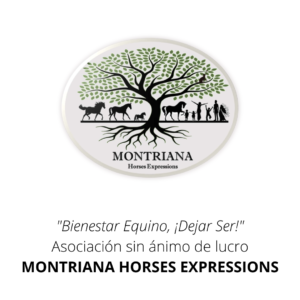 MONTRIANA HORSES EXPRESSIONS