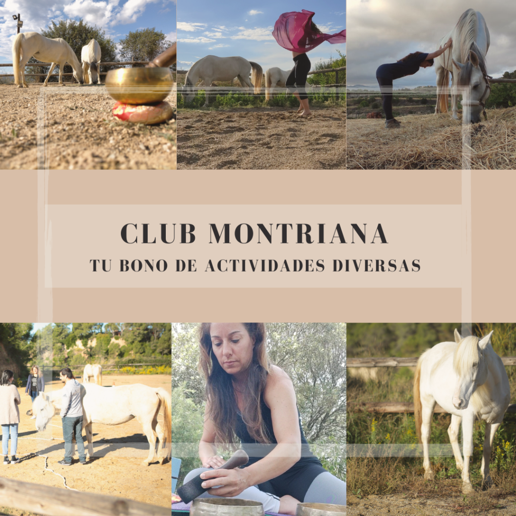 CLUB MONTRIANA actividades en la naturaleza con caballos