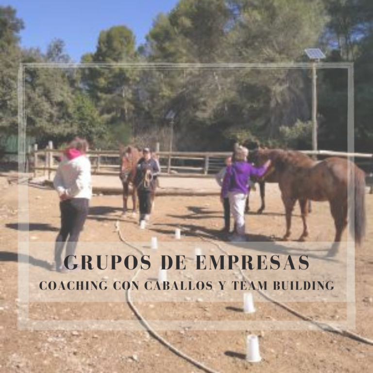 COACHING EMPRESARIAL CON CABALLOS MONTRIANA HORSES EXPRESSIONS