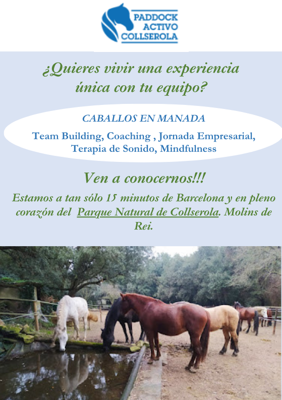 COACHING DE EMPRESAS Y TEAM BUILDING CON CABALLOS