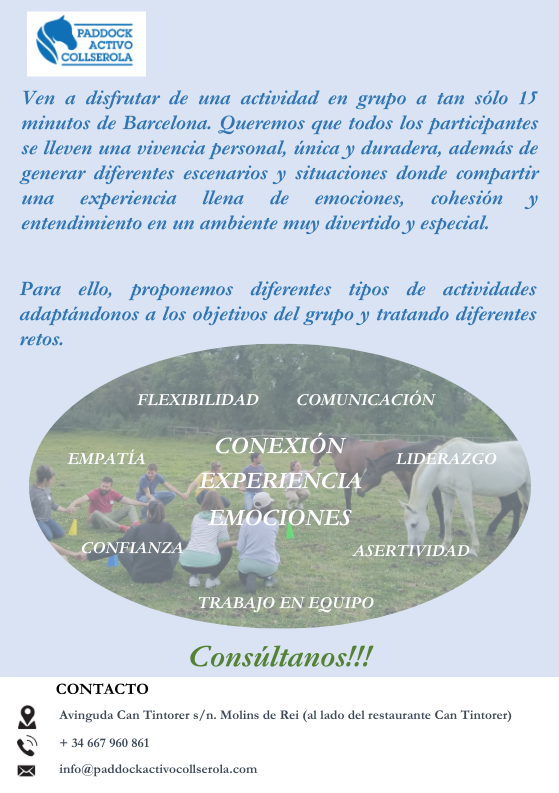 COACHING DE EMPRESAS Y TEAM BUILDING CON CABALLOS