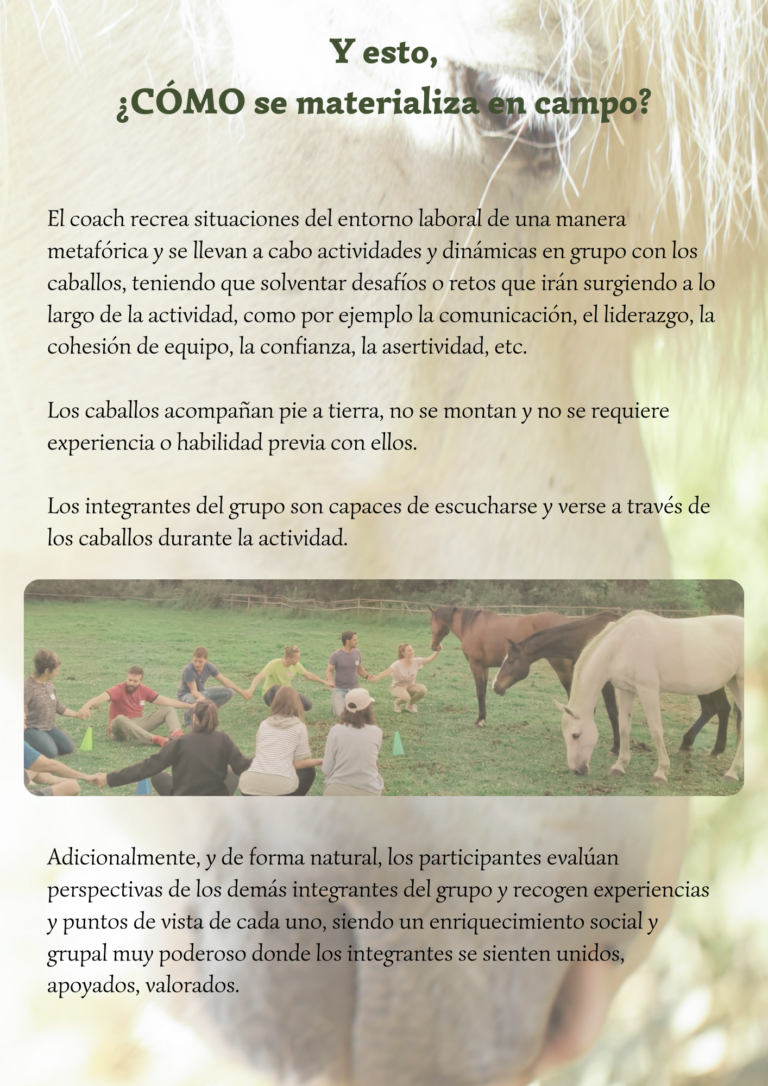 COACHING EMPRESARIAL CON CABALLOS MONTRIANA HORSES EXPRESSIONS