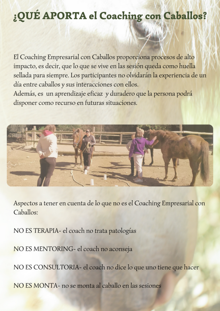 COACHING EMPRESARIAL CON CABALLOS MONTRIANA HORSES EXPRESSIONS