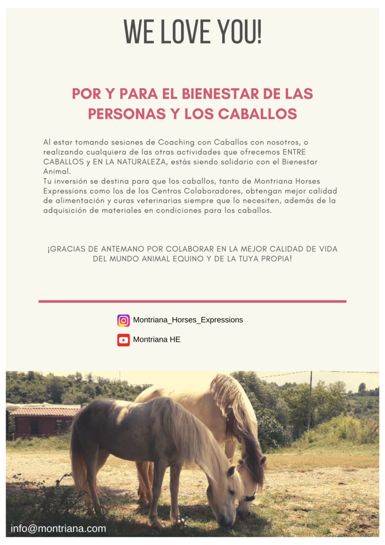 COACHING CON CABALLOS PARA TERAPEUTAS Y COACHES