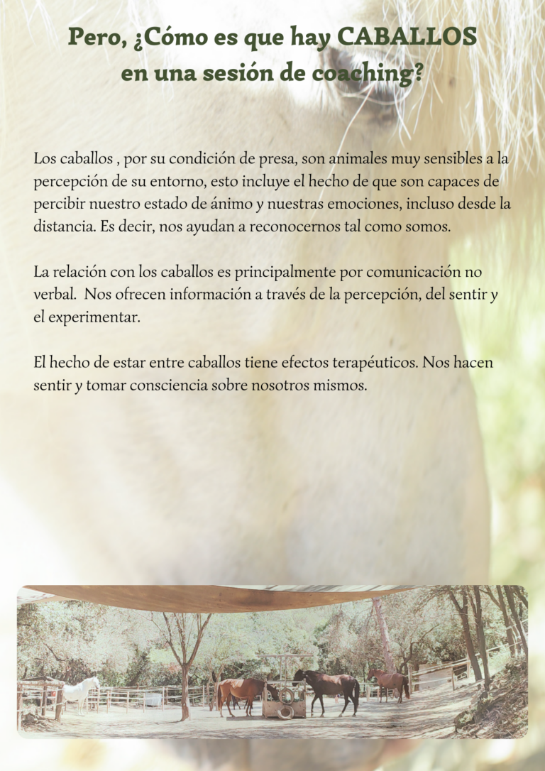 COACHING EMPRESARIAL CON CABALLOS MONTRIANA HORSES EXPRESSIONS