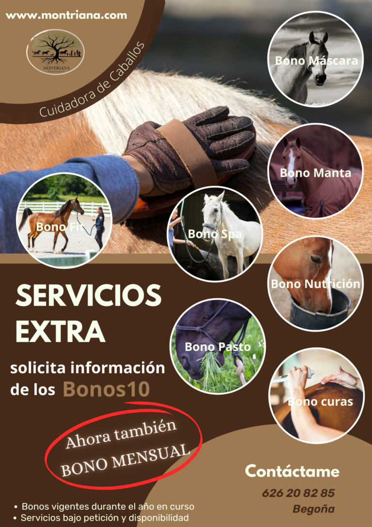 EQUINANI SERVICIOS EXTRA MONTRIANA GUARDERIA PARA CABALLOS