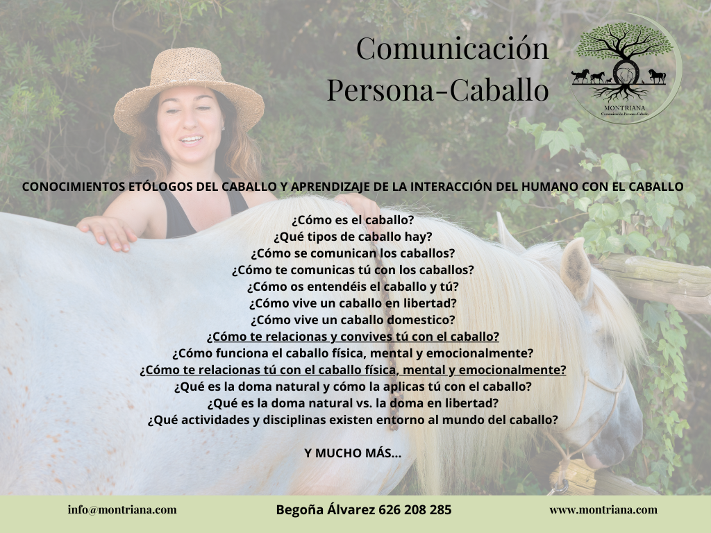 COMUNICACIÓN PERSONA-CABALLO PROGRAMA FORMATIVO MONTRIANA HORSES EXPRESSIONS