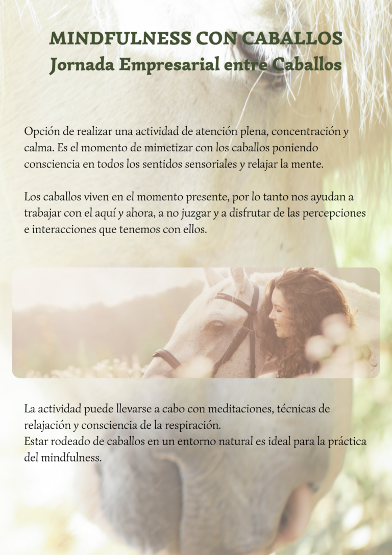 COACHING EMPRESARIAL CON CABALLOS MONTRIANA HORSES EXPRESSIONS