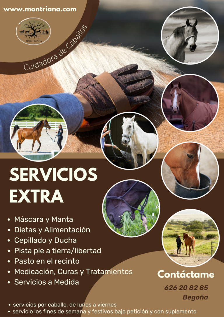 EQUINANI SERVICIOS EXTRA MONTRIANA GUARDERIA PARA CABALLOS