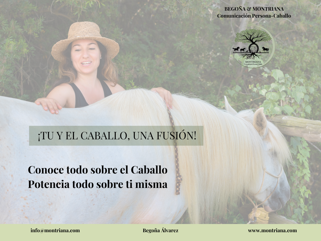 COMUNICACIÓN PERSONA-CABALLO PROGRAMA FORMATIVO MONTRIANA HORSES EXPRESSIONS