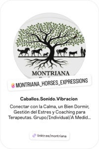 montriana horses expressions en instagram