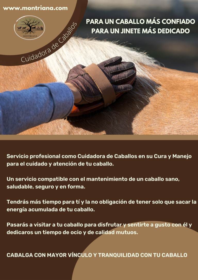 EQUINANI SERVICIOS EXTRA MONTRIANA GUARDERIA PARA CABALLOS