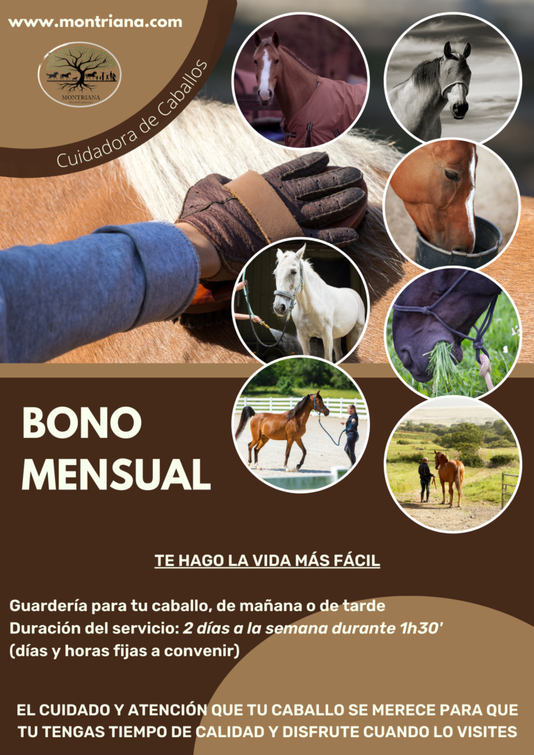 EQUINANI SERVICIOS EXTRA MONTRIANA GUARDERIA PARA CABALLOS