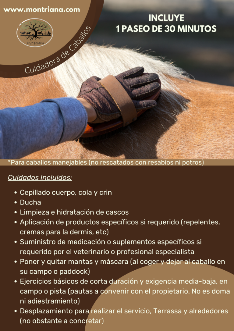 EQUINANI SERVICIOS EXTRA MONTRIANA GUARDERIA PARA CABALLOS