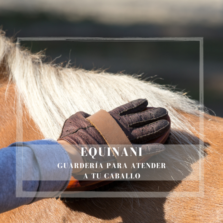 EQUINANI SERVICIOS EXTRA MONTRIANA GUARDERIA PARA CABALLOS