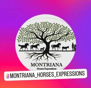 Montriana Horses Expressions en Instagram